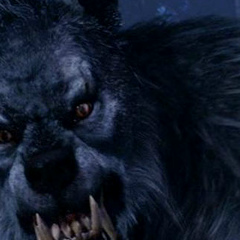 Денис Трофимюк, 29.04.1991, Слобожанское / Комсомольское