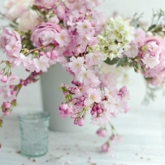 Лаура Ли, Петрозаводск