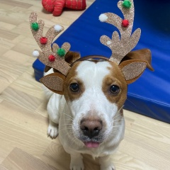 Дмитрий Швецов, 26.12, Москва