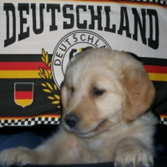 Vlad Tepes, 15.03, Berlin