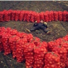 Даулет Султанов, 22.02.1995, Нукус