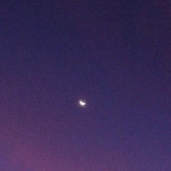 Таня Смирнова, 20.01, Череповец