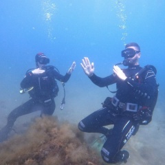 Миша Рощин, 03.05