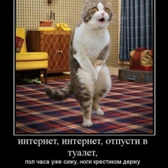 Диман Ёжиков, 06.04.1999, Новокузнецк