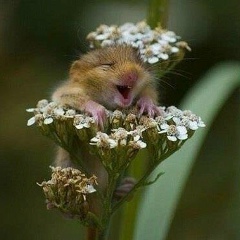 Игорь Чудин, 19.07, Москва