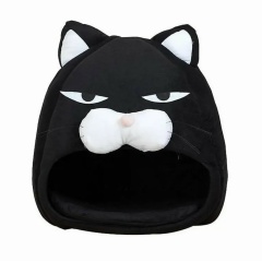 Лана Ильичёва, Москва