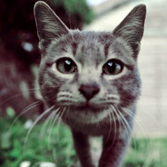 Влада Сергеева, 06.11, Уфа