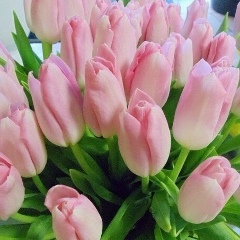 Julia Shokurova, 06.05.1976, Санкт-Петербург