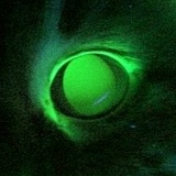 Данил Фирсин, 06.04.1988, Сургут