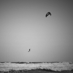 Антон Логинов, 24.03, Москва