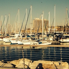 Renat Metis, 26.02, Алматы