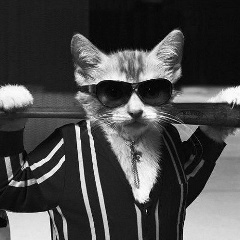 Рустам Мусаев, 04.11.1988, Хасавюрт