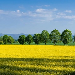 Taras Fd, 14.11.1969, Черновцы