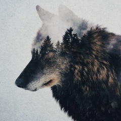 Рустам Кумахов, 06.10, Нальчик