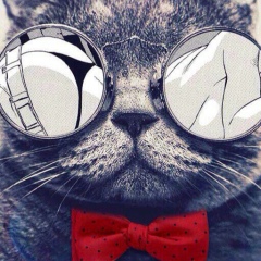 Vito Andolini, 21.05.1987, Новосибирск