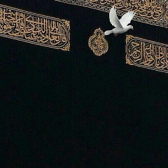 Serzhan Rakhymzhan, 01.09, Шымкент