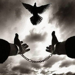 Виктор Округин, 20.06.1986