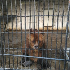 Андрейка Кузнецов, 29.07, Омск