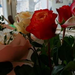 Елена Белоногова, 10.01, Санкт-Петербург