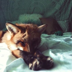 Алинка Давлетова, 19.01, Уфа