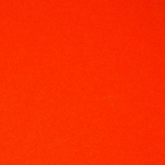 Бауыржан Хайтбаев, Алматы