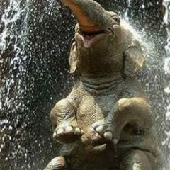 Светлана Гриценко, 02.11, Киев