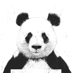 Anima Mundi, 04.03.1994, Кишинев