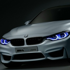 Михаил Харламов, Краснодар