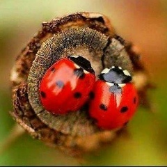 Юлька Эстранова, 25.07