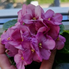 Юлия Корвякова, 25.06, Липецк