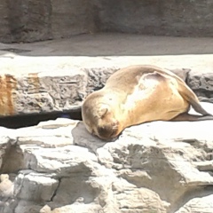 Екатерина Алексеева, 14.08, Санкт-Петербург