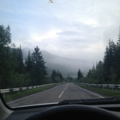 Тамир Куулар, Sydney