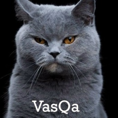 Vasqa Zyaticov, 21.11.1992, Санкт-Петербург