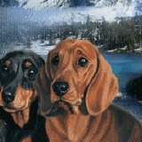 Владимир Абрамов, 21.05.1955, Владикавказ