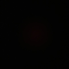 Дмитрий Старков, Новосибирск