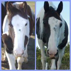 Katya Koptenko, 15.06.2000, North Miami Beach