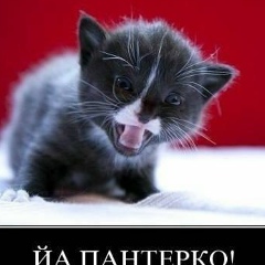 Виталий Пионтковский, 07.01.1908