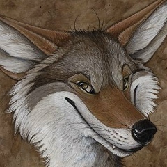 Илья Нестеровский, 13.09, Санкт-Петербург