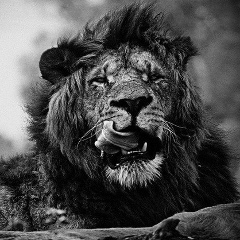 Бек Шаханов, 01.09.1993, Семей