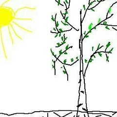 Николай Сеничкин, Москва