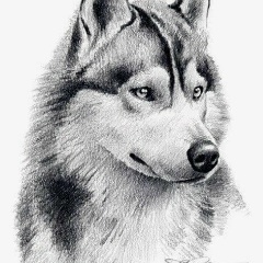 Станислав Евгеньевич, 01.08, Санкт-Петербург