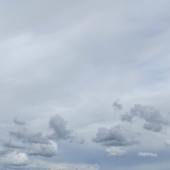 Надежда Болотова, 11.01, Санкт-Петербург