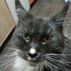 Инна Лушпенко, 02.12, Мурманск