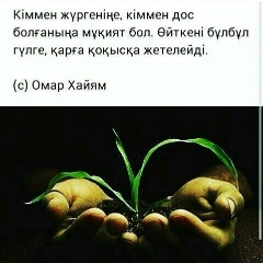 Айткул Алтайбаева, 01.09.1978, Тараз