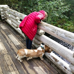 Евгения Харлова, 18.02, Санкт-Петербург