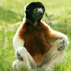 Сергей Elektrik, 30.11, Санкт-Петербург