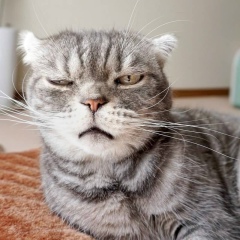 Александр Михайлов, 18.07.1989