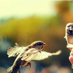 Николай Усольцев, 20.11