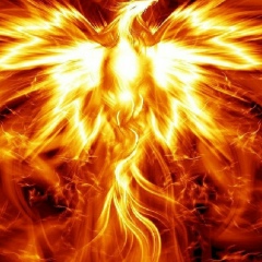 Сергей Коробков, 26.11.1989, Санкт-Петербург