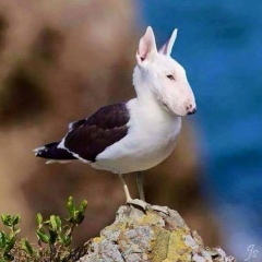 Vladi Grachev, 04.06, Воронеж